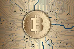 Risk and Thrills: Analyzing the Synergy Between Bitcoin Betting and Formula 1 Racing