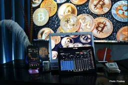 Exploring the Differences: BitDAO versus Traditional DAOs