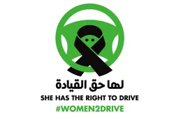 Hamilton: Why are women still in prison for driving?