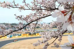 McLaren aiming to bounce back at Japanese Grand Prix this weekend in Suzuka