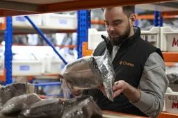 Eight Things You Didn't Know About Online Car Parts Marketplaces