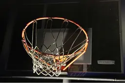 basket1