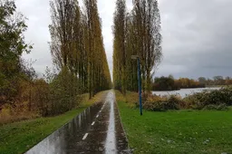 bomen en natuur kardinge