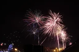 fireworks 2088155 960 720 vuurwerk