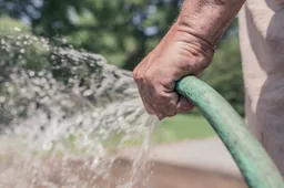 garden hose 413684 1280tuinslang water