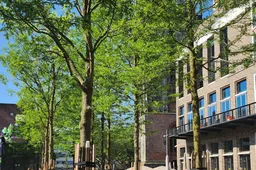 grote markt nieuw