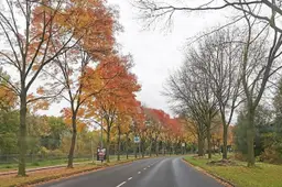 herfstfoto