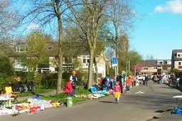 koningsdag 2015 1