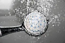 shower 1502736 960 720 douche douchekop