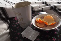 sick 668925 960 720 griep