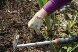 work in the garden 2432111 1280 tuin onkruid schoffelen 915x518 nl doet