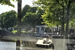 dudok