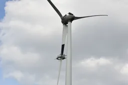 nieuwsbericht zwarte wiek op windturbines maakt in eemshaven geen verschil