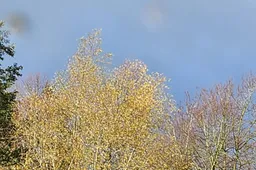 20231124_125104