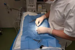 health-4385848_1280