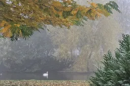 Schermafbeelding 2025-11-07 132150