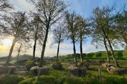 unnamed - 2025-11-03T150746.539