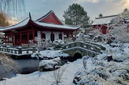 20260104_112447copie