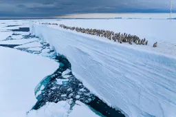 © Bertie Gregory, Wildlife Photographer of the Year