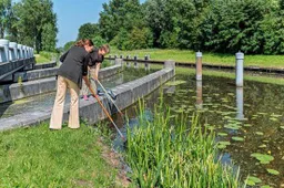 unnamed - 2026-02-16T135456.924