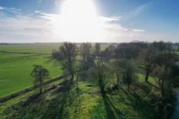 unnamed - 2026-03-20T135903.022