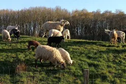 unnamed - 2026-04-10T133556.425