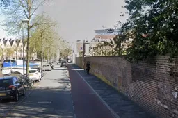 turfsingel