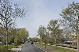 helperzoom