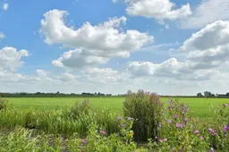 Waterbeeld 6 augustus