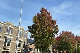 herfst groningen