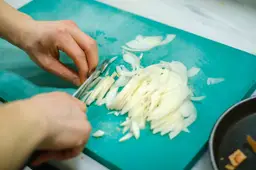 Uien snijden(1)