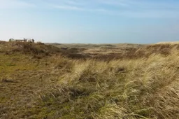 duinen