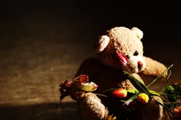teddybear-2409878_1920