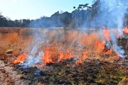 Scherm­afbeelding 2026-03-05 om 18.09.24