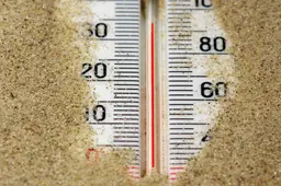 zomer2