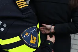 aanhouding politieagent embleem 03