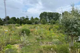 Buurttuin 1 (foto Michiel Boeken)