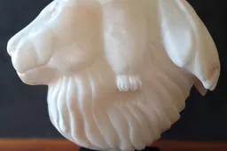 LionsgateCarlaVeldman