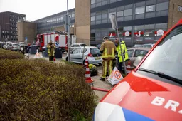 20260323_hamelink_09