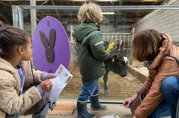 boerderij-zorgvrij-paasactiviteit-01