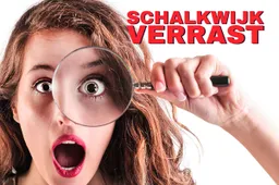 Schalkwijk Verrast (2) kopie