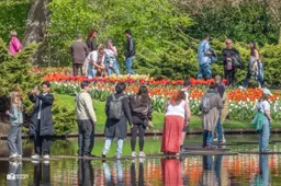 art-balanceren-op-schijven