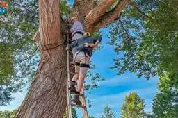 WIENEN boom