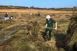 Vrijwilligers aan het werk-2