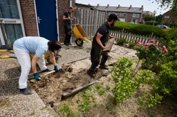 goede foto 03