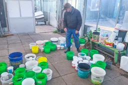 bloemzaad