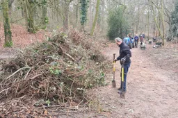 blog 15 febr. 2000 bramen verwijderd