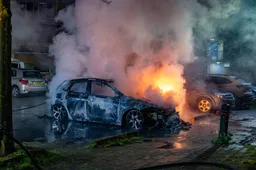 20260329_willemsbos_04