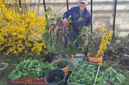 blog29 maart de eerste oogst van 2026