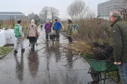 Perbericht7 maart boomuitdeeldag altijd veel belangstelling